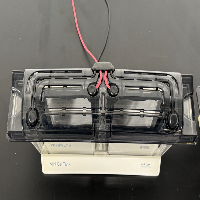 Invitrogen Mini Gel Tanks - Quantity 2 image 3